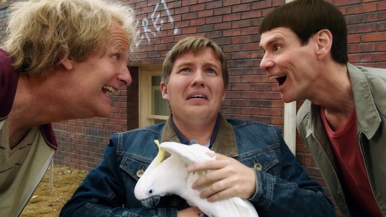 دانلود فیلم Dumb and Dumber To 2014