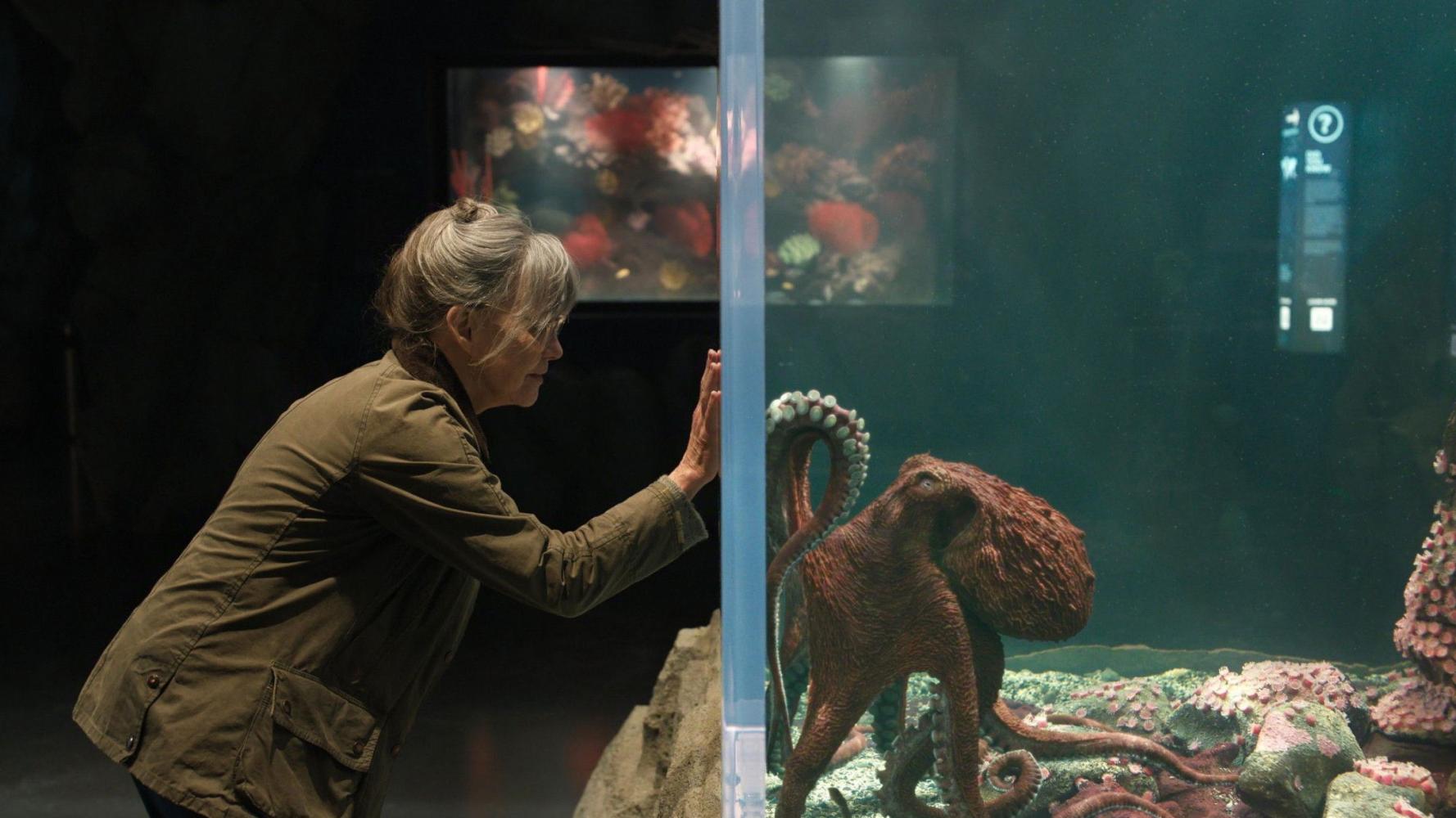 دانلود فیلم Remarkably Bright Creatures 2026