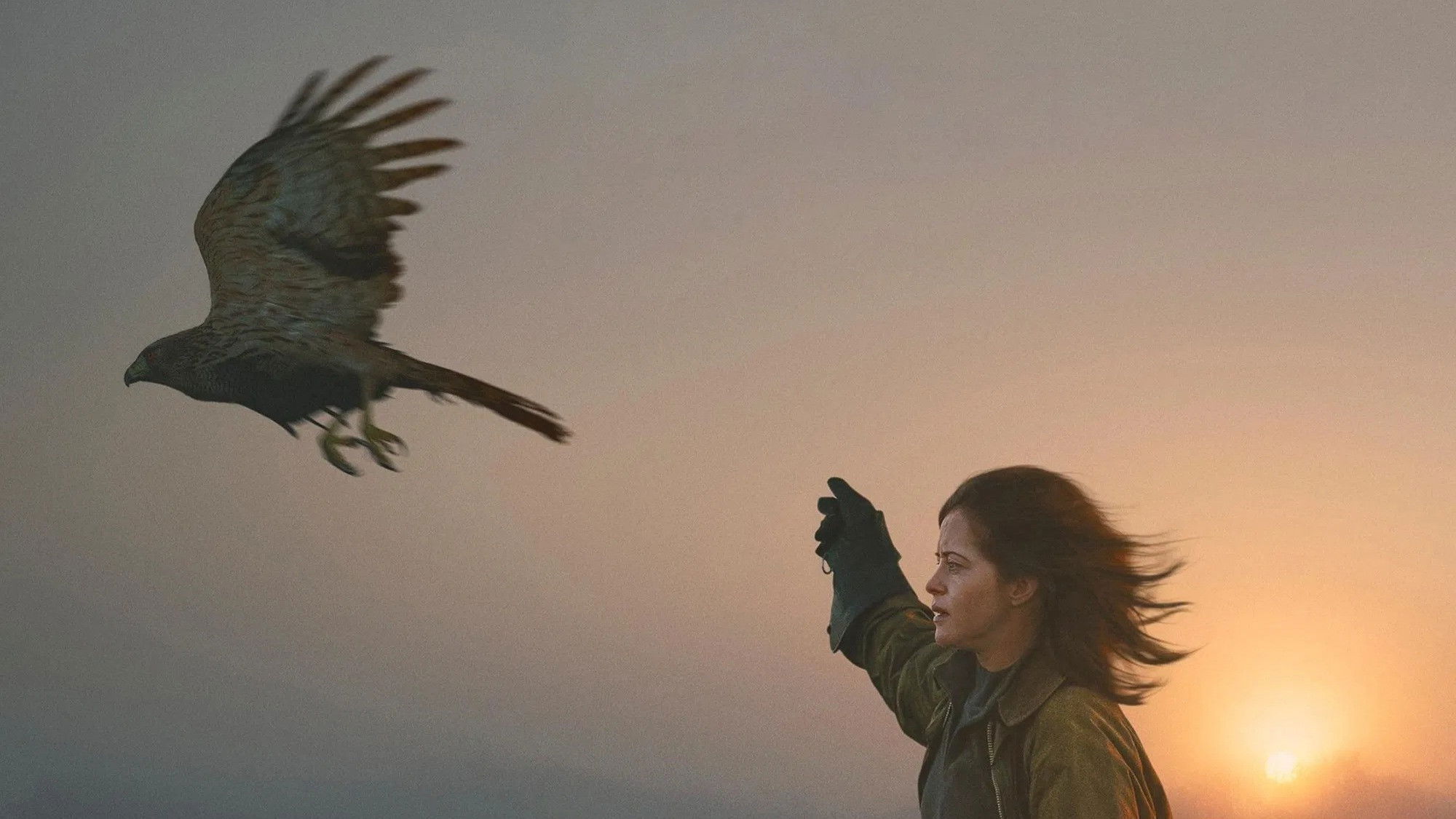 دانلود فیلم H Is for Hawk 2025